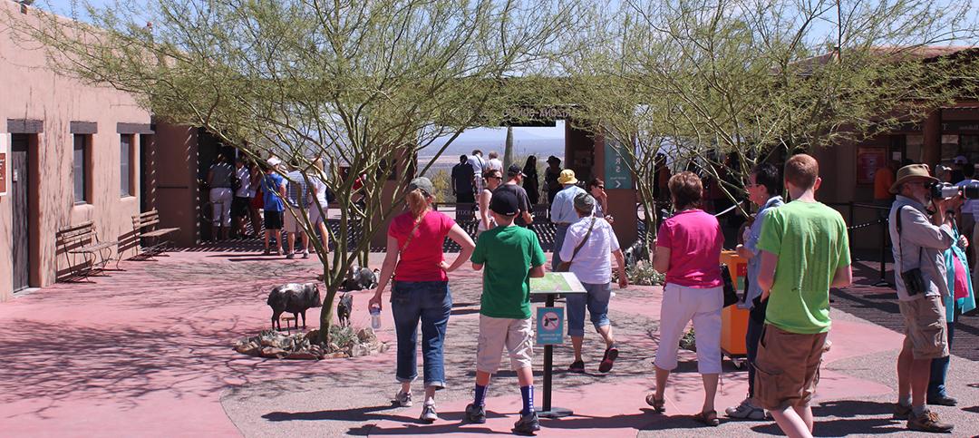 Group of people entering the museum